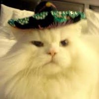 itzkoolaid14 (@itzkoolaid14) 's Twitter Profile Photo itzkoolaid14 (@itzkoolaid14) 's Twitter Profile Photo