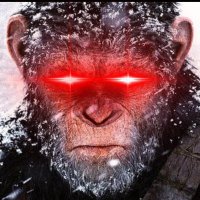 Crypto Caesar (@cryptocaesar112) 's Twitter Profile