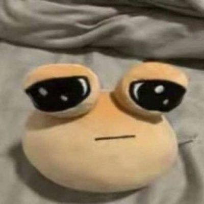 meeshko3's profile picture. The best account ever