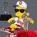 illiterate buckeyes fan (@iammronburgundy) Twitter profile photo illiterate buckeyes fan (@iammronburgundy) Twitter profile photo
