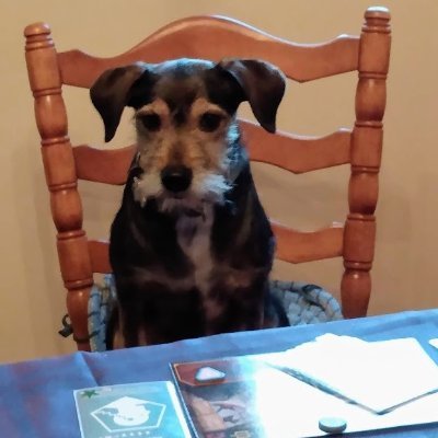 On twitter for contest retweets, crypto, cosplay & MLB.
Real posts are found where block actually blocks.
https://t.co/HbmRYdm2no