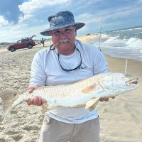 Joe Mancos (NT4Z) (@mongoose60) 's Twitter Profile