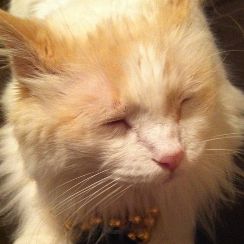 McGarveySteph's profile picture. 