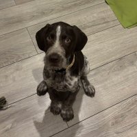 Bartzy (@bartzy22) 's Twitter Profile