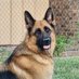 ☆sbeck☆ (@sbeck1955849) Twitter profile photo ☆sbeck☆ (@sbeck1955849) Twitter profile photo