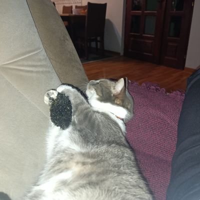 Jelena67768921's profile picture. 