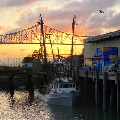 PacNW Seafood since 1934; https://t.co/P5t8JGn2Sl Beer and Spirits since 2014; https://t.co/QxlmwDJHnS ; https://t.co/nz17Tc8Yb2