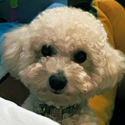 jappyjaps2's profile picture. Goal Digger