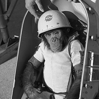 tr4m0ryp's profile picture. Co-Founder @Avelerodpp
YC we are coming for u ;)