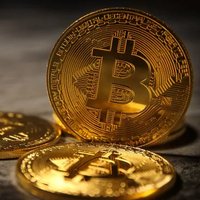 Francesco Pinzauti (@francescop1231) 's Twitter Profile