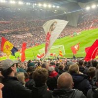 Todd mclean (@toddlfc97) 's Twitter Profile