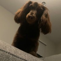 David Corn (@davidcorn420) 's Twitter Profile