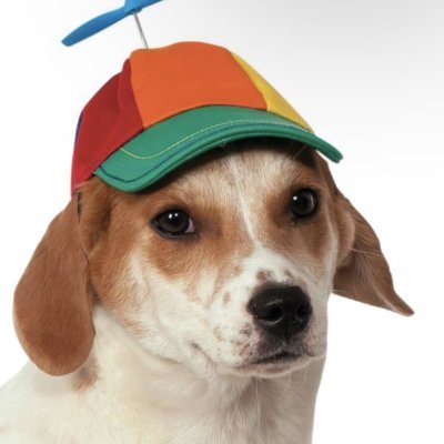 geraldinho37A's profile picture. nao uso twitter. só as vezes.