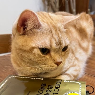 TOEIC目標800点 / VERSANT57点 / 外資管理職 /平日東京単身赴任/週末名古屋 / 猫 chill アメショカメオタビー 2歳 / 英語 / Journaling /筋トレ / ウォーキング / 転職1年 / 引退後海外移住計画
