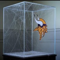 Vikings Trophy Case π«ππ« (@vikestrophycase) 's Twitter Profile