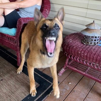 farmhand_nick's profile picture. 