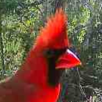 LisaFowler59689's profile picture. 