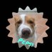 paimin love makaron (@eikearth) Twitter profile photo paimin love makaron (@eikearth) Twitter profile photo
