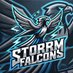 Storm Falcons (@storm_falcons) Twitter profile photo Storm Falcons (@storm_falcons) Twitter profile photo