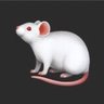 Mouse_TV_'s profile picture. Educational documentaries, free online classes, classic movies and shows. Garage inventor. Many interests.