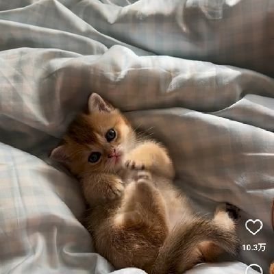 返信早い方優先になります。座席についてはブロックのみ開示になります。