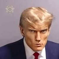 Absolute degen (@cryptosseur1) 's Twitter Profile
