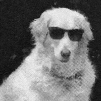 flex (@flecsssss) 's Twitter Profile