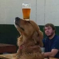 Anne (@annewoof) 's Twitter Profile