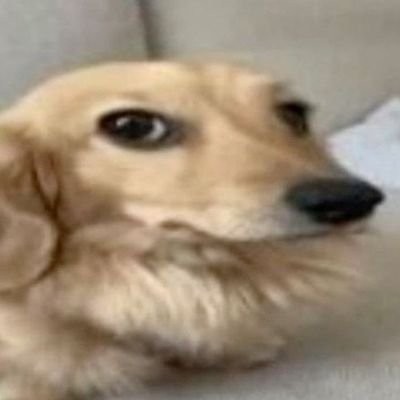 @ilovepoop96