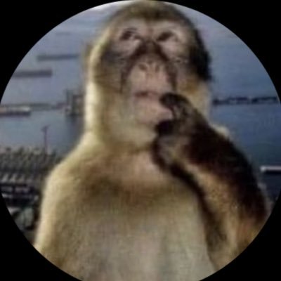 vieiraafx's profile picture. 