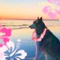 beautiful stranger (@shower_reuben) 's Twitter Profile Photo beautiful stranger (@shower_reuben) 's Twitter Profile Photo