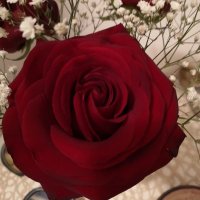 Lacca Percapelli (@lpercapell41572) 's Twitter Profile