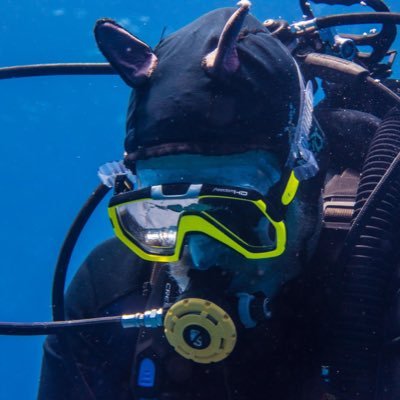 shkarren's profile picture. Entrepreneur working in Africa. Supporter of freedom of speech. Underwater Photographer. I DELETE DMs.