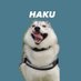 ハスキーの珀くん (@husky_0319) Twitter profile photo ハスキーの珀くん (@husky_0319) Twitter profile photo