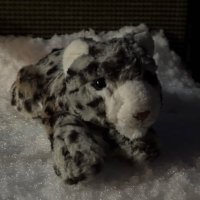 thunkus (@ungulator) 's Twitter Profile