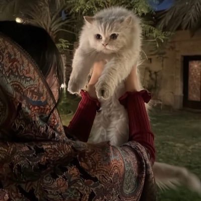 4reem_6's profile picture. 