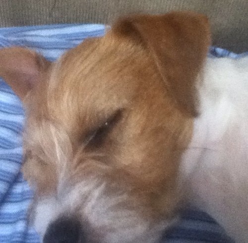 CulCoff's profile picture. 