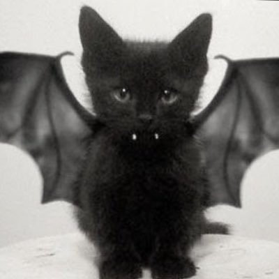 7evencals's profile picture. 19 / vegetarian / 5’2 / cw: 108lbs / gw: 100lbs/ ugw: 85 lbs