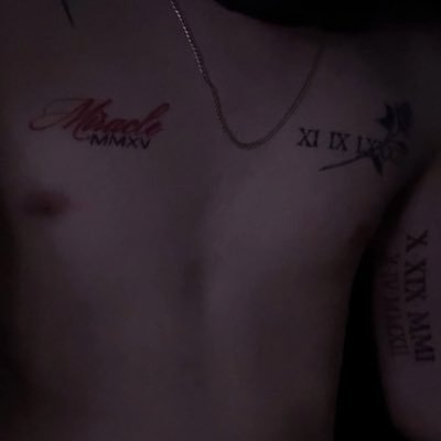 323_DLL's profile picture. 