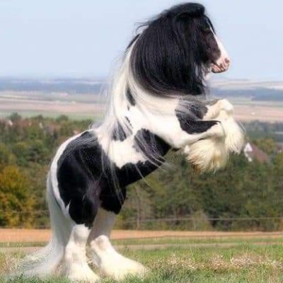 jekiquto's profile picture. 