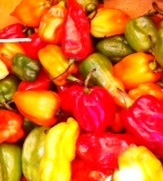 Sakaymena's profile picture. Madagasikara