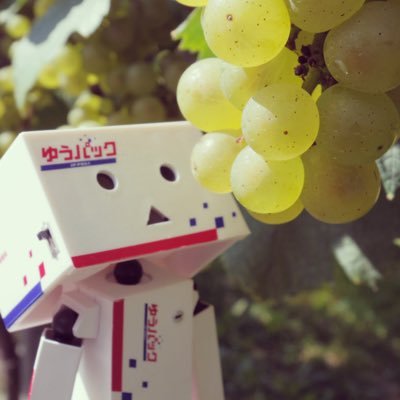 saltysyrup's profile picture. ♨️🍺🍾🍽️ソリスト🚃旅の人