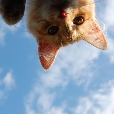 wil983351988477's profile picture. A handmade earth cloth making enthusiast