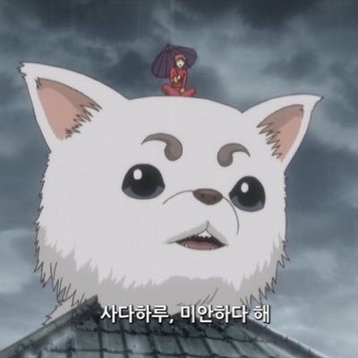 0kg_10's profile picture. 하루 8시간 자기 협회 위원장