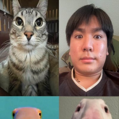 DanielUng19's profile picture. cs @ sjsu // prev @barclays @loftiadev, @sap