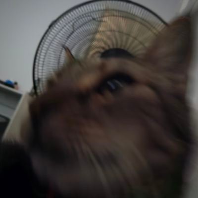 fatalistwt's profile picture. core dickhead w/ terminal kpdh brainrot
XXX
free palestine