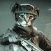 CATTO (@catfacebo6) Twitter profile photo CATTO (@catfacebo6) Twitter profile photo