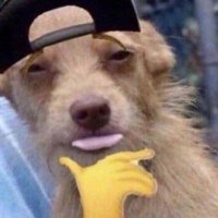 don (@fufukathden) 's Twitter Profile