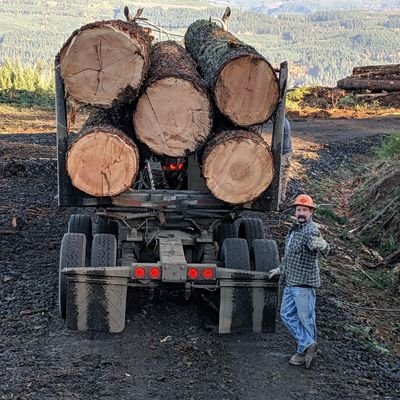 Veteran, ex heavy equipment knuckle buster, in the timber industry, PNW, Trump Train!