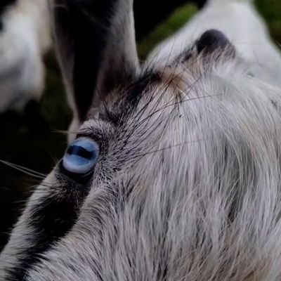 Rosebuds808's profile picture. Just Me